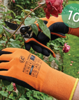 UCI - Aquatek Thermo - Dual Latex Thermal Lined Waterproof Gloves - Black/Orange - Pack of 10