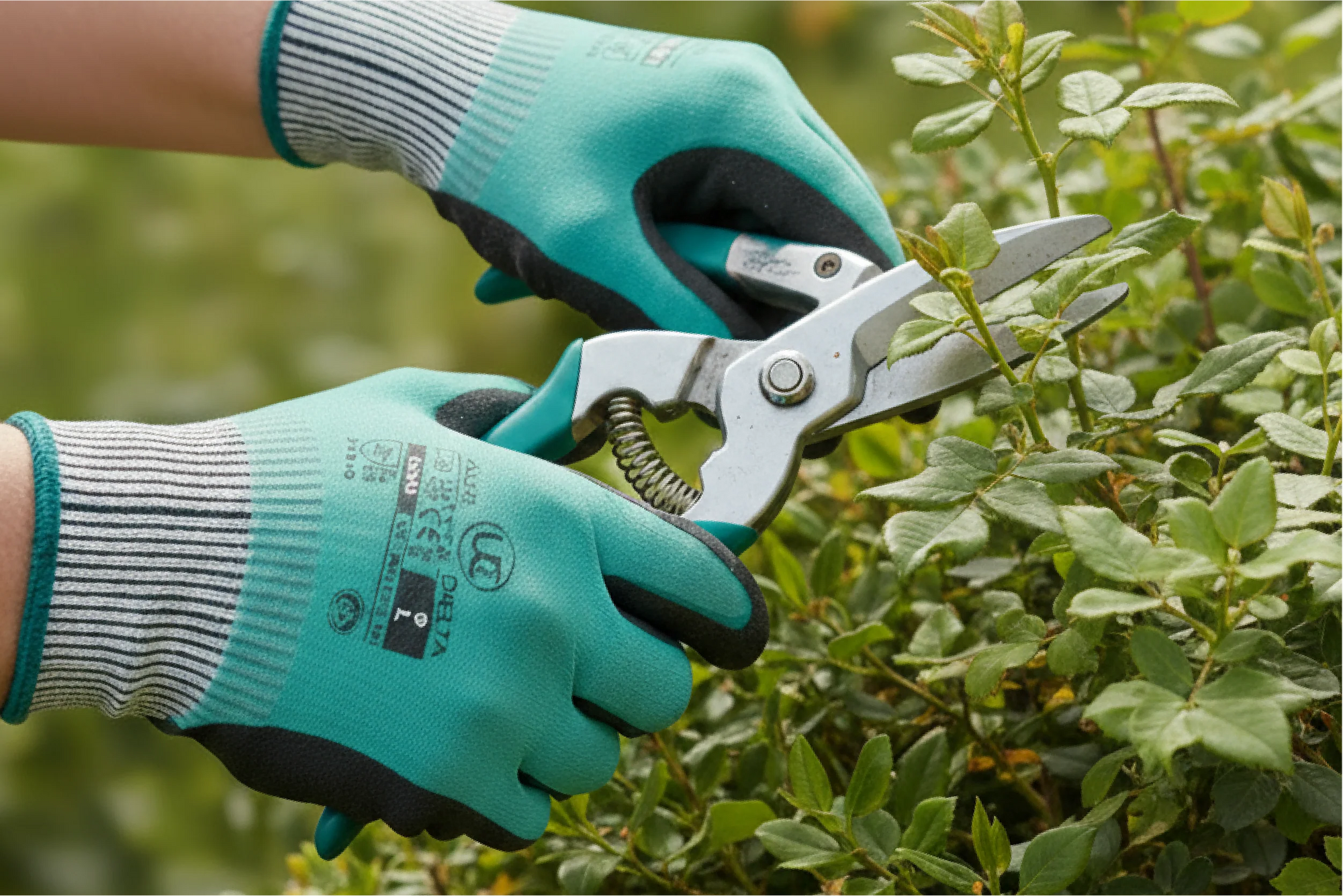 Cut Resistant Gloves