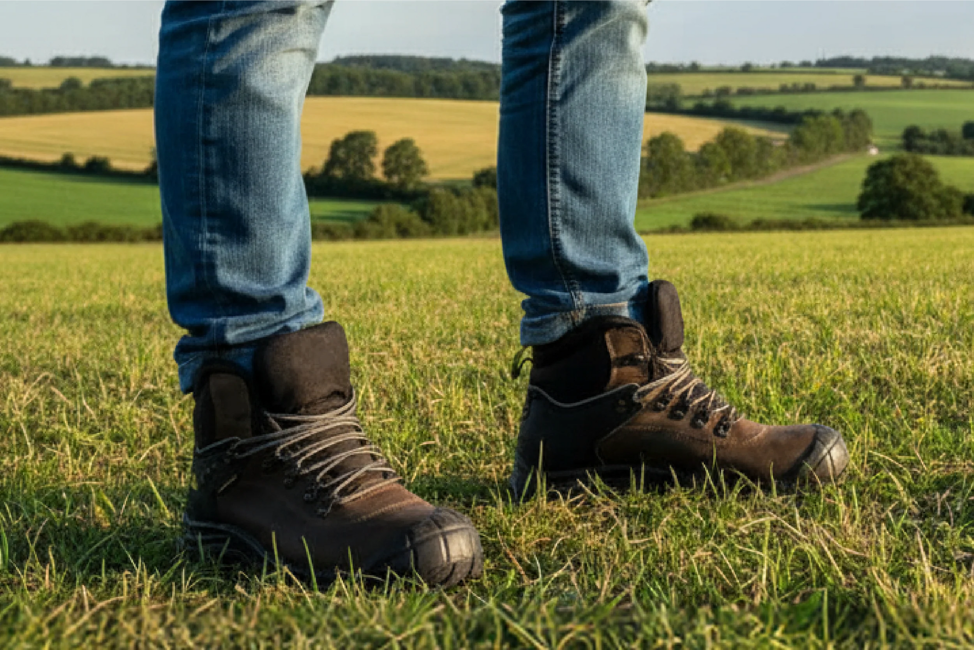 Stout Safety Dealer Boot