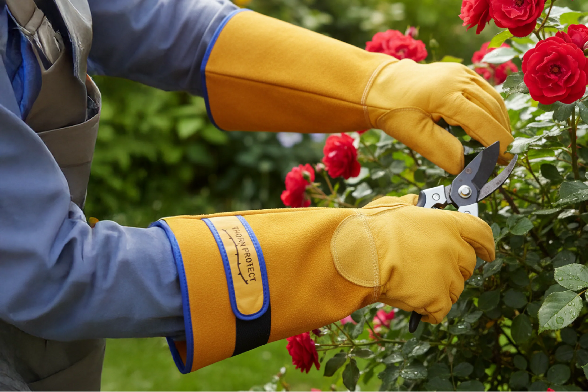 Thorn Resistant Gloves